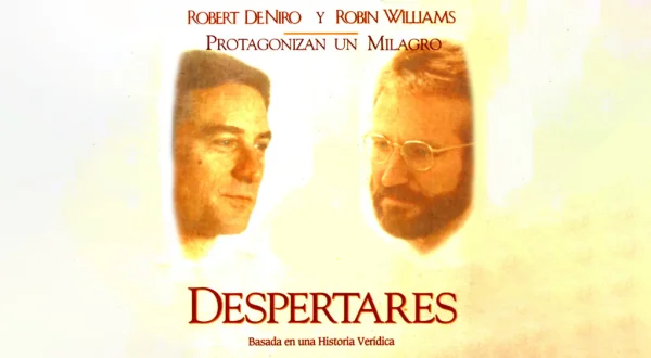 Despertares
