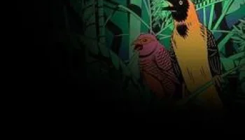 Francofolies de La Réunion