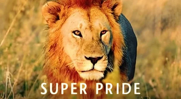 Superpride
