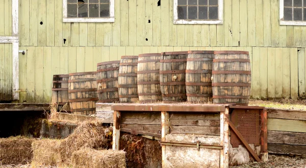 Moonshiners: Master Distiller