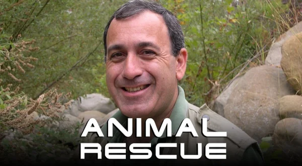Animal Rescue