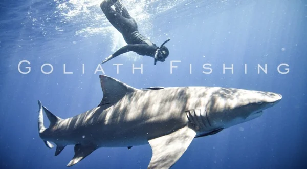 Goliath Fishing