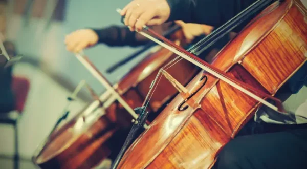 Die Musikserie: MKZ Förderpreis