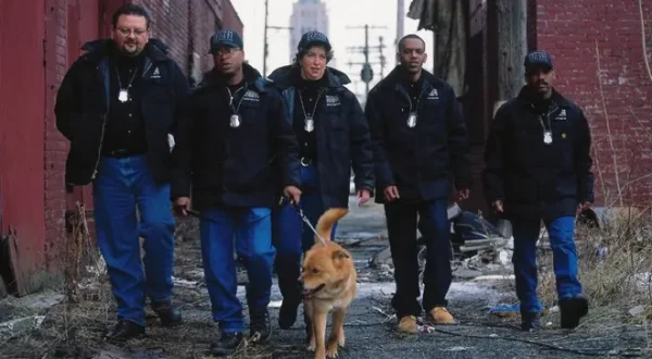 Tierpolizei Detroit