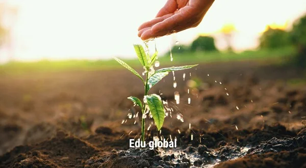 Edu global