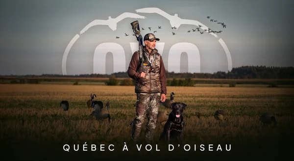 Québec à vol d'oiseau