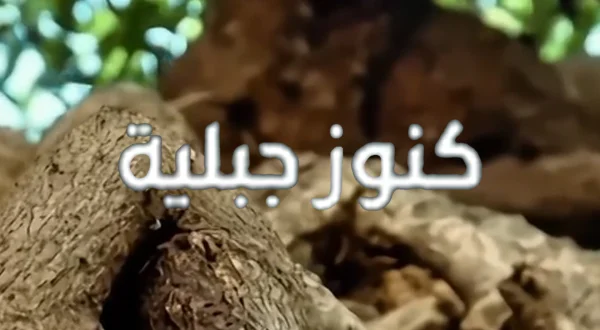 كنوز جبلية
