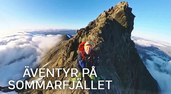 Äventyr på sommarfjället