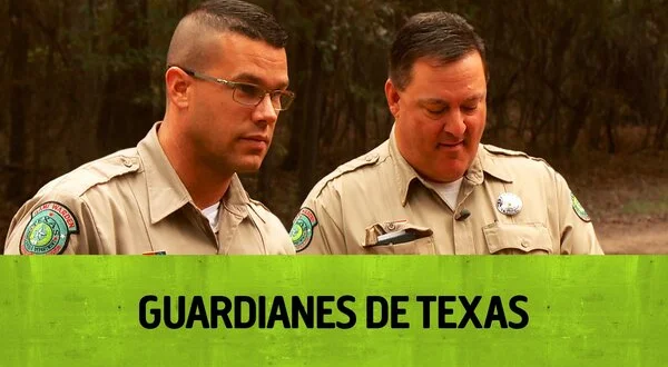 Guardianes de Texas