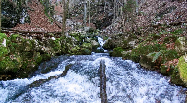 Pielach – Im Garten der Voralpen