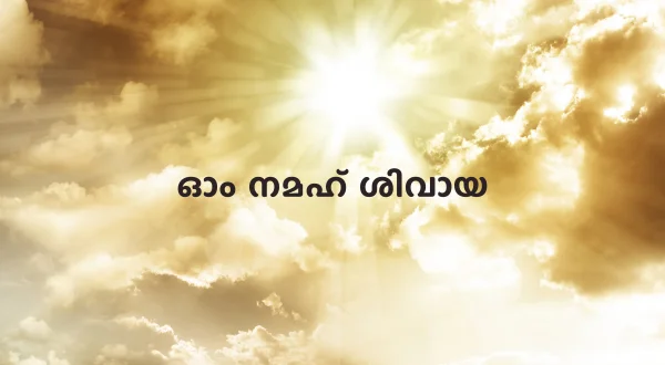 Om Namah Shivaya