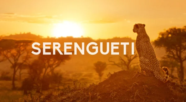 Serengueti