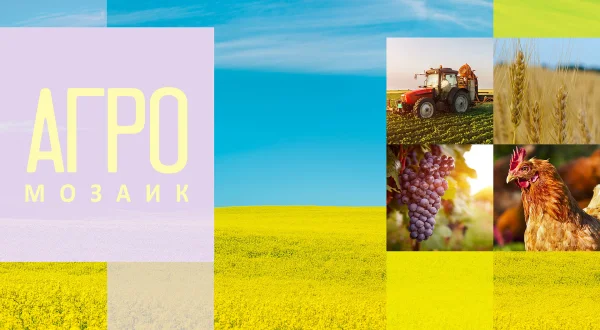 Agromozaik