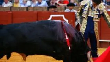 Tendido cero