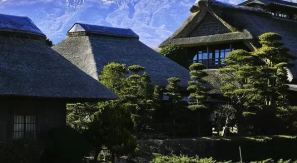 Dig More Japan!