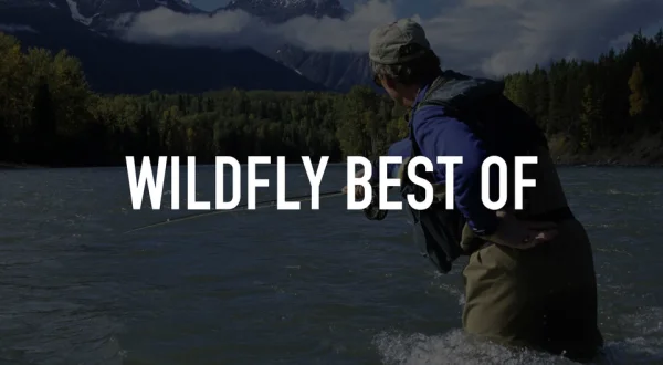 Wildfly Best of