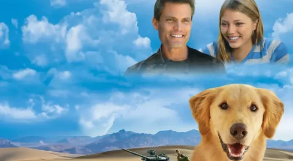 Army Dog