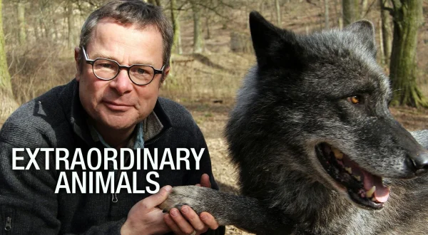 Ingenious Animals