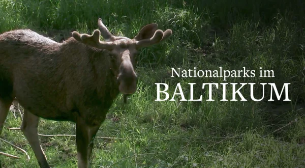 Nationalparks im Baltikum