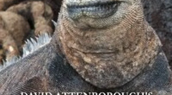 David Attenborough's Galapagos