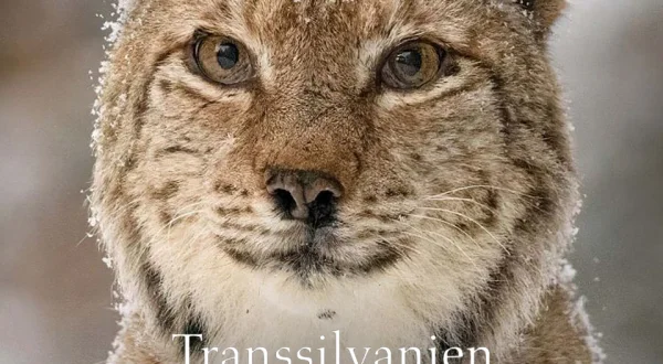 Transsilvanien, Draculas wildes Reich