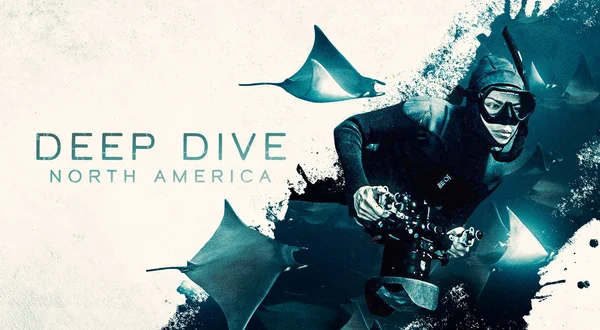 Deep Dive North America