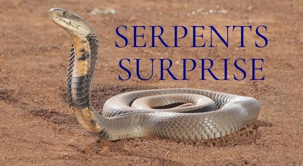 Serpents surprise