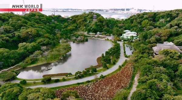 The Garden Way