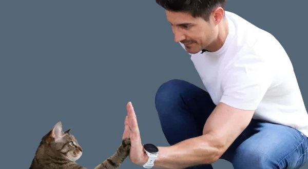 Hund und Katze – Haustiere Himmel oder Hölle?