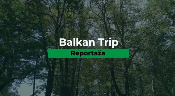 BT Reportaža