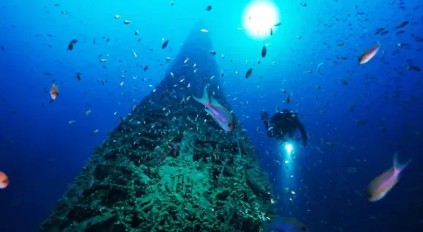 U455 le sous-marin disparu