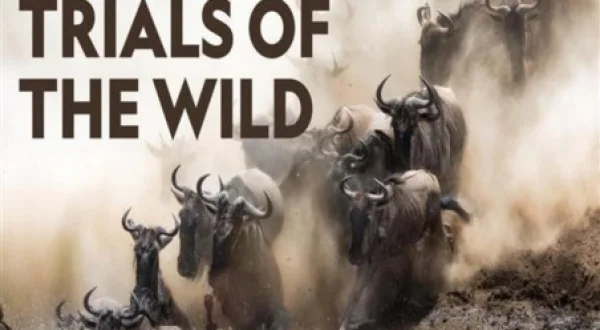 Trials of The Wild
