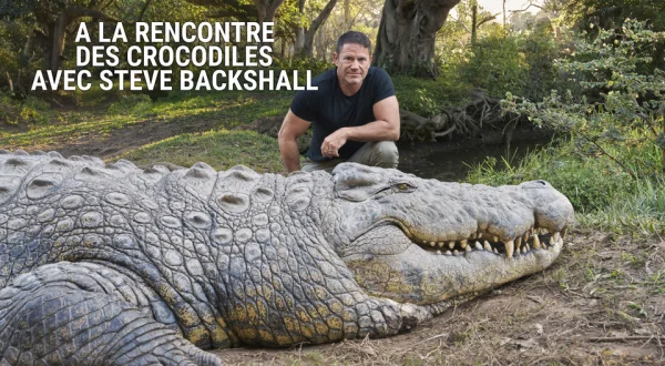 A la rencontre des crocodiles avec Steve Backshall