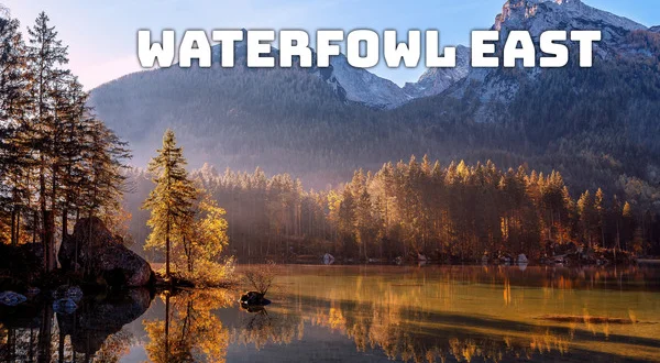 Waterfowl East