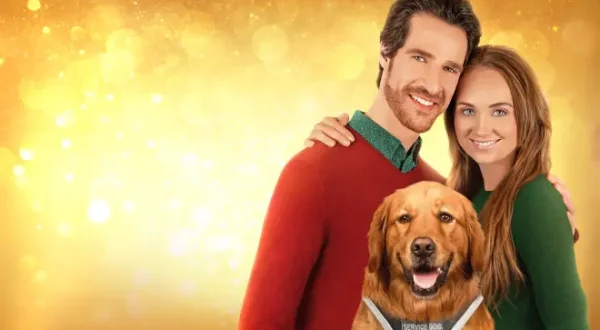 Un nouvel ami pour Noël