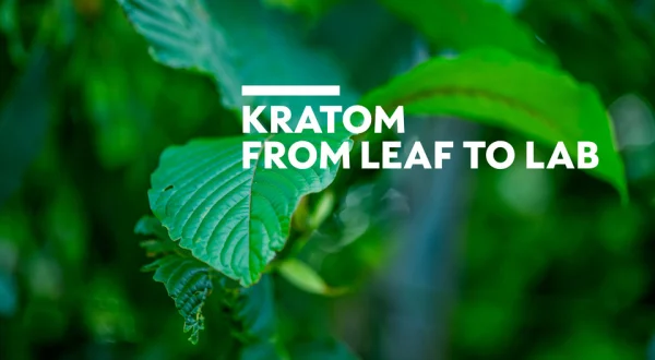Kratom: From Leaf to Lab