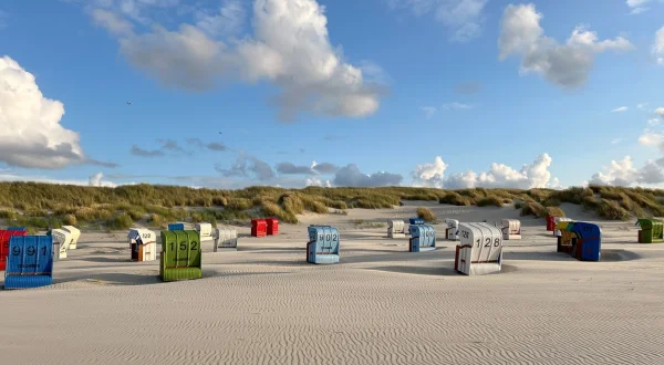 die nordstory Spezial – Kurs Juist und Norderney