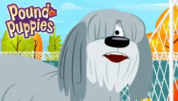Pound Puppies