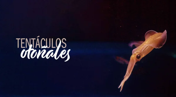 Tentáculos otoñales
