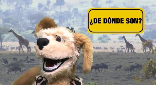 ¿De dónde son?