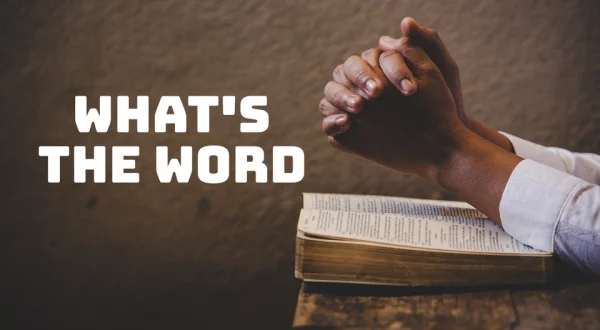 What's the Word