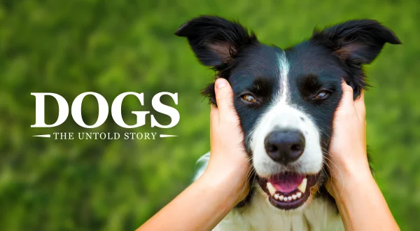 Dogs: The Untold Story
