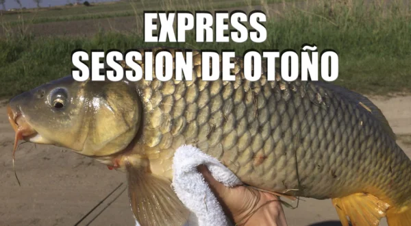 Sesión Express En Otoño