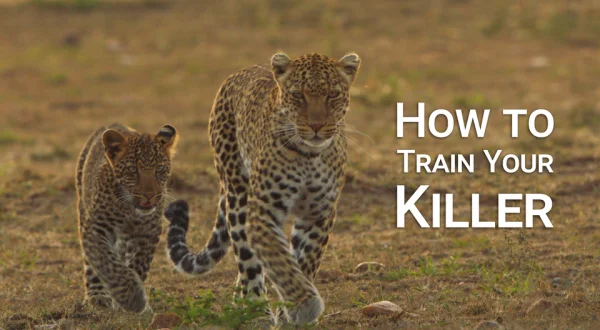 How To Train Your Killer