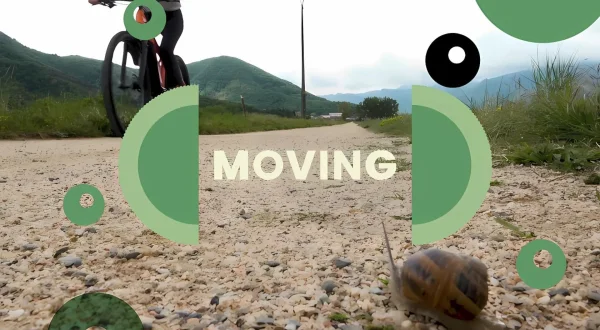 Moving