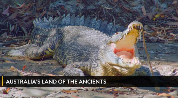 Australia's Land Of The Ancients
