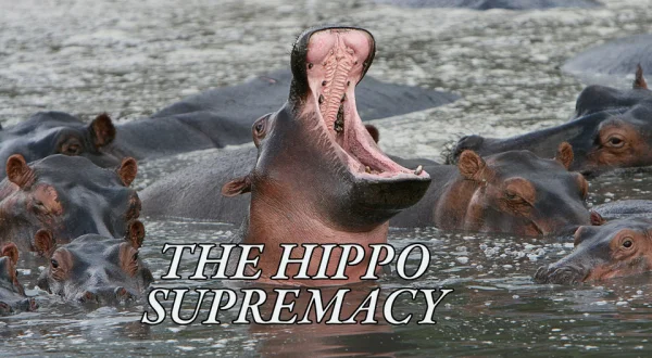 The Hippo Supremacy