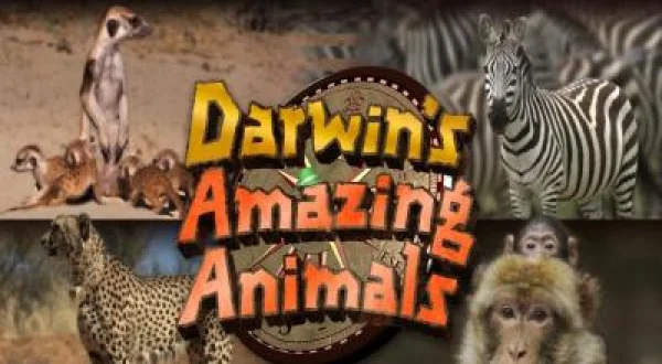 Darwin's Amazing Animals