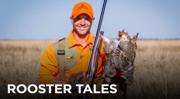 Rooster Tales