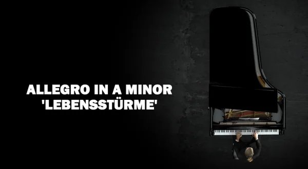 Allegro in A Minor 'Lebensstürme'